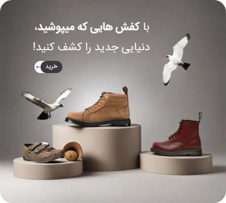 محصولات کفش